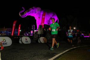 BIB: 
                            <button type="button" onclick="openModal(26534343)" class="btn btn-primary btn-sm float-right btn-popup" data-toggle="modal" data-target=".modal-high-quality">
                        <i class="fas fa-shopping-cart"></i> Add to Cart
                    </button>
                                            <button type="button" onclick="isThisMe(26534343, true)" class="btn btn-success btn-sm float-right btn-popup btn-isme hidden" data-toggle="tooltip" data-placement="bottom" title="นี่คือรูปของคุณใช่ไหม คลิกที่นี่เพื่อเอาเข้าอัลบั้ม">
                        <i class="fas fa-plus"></i> Add to album
                    </button>
                    <button type="button" onclick="isThisMe(26534343, false)" class="btn btn-warning btn-sm float-right btn-popup btn-isnotme hidden">
                        <i class="fas fa-ban"></i> Remove from album
                    </button>